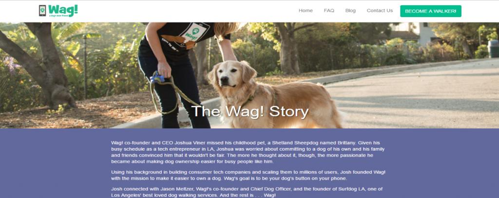 开会不能遛狗？出差在外狗狗怎么办？宠物界Uber与Airbnb帮您搞定爱宠所需！