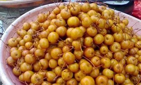 只有潮汕人才知道的花生牛奶,汕头特色水果品种有哪些