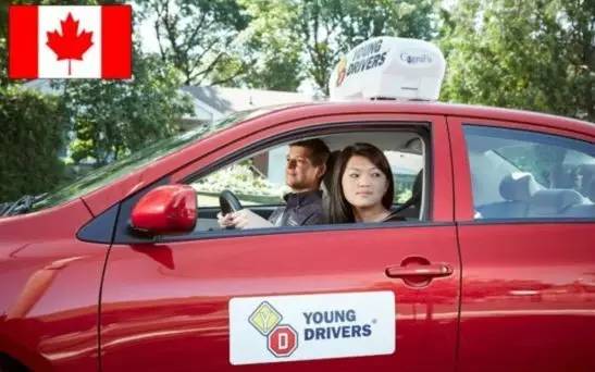 在加拿大会不会被骗,在加拿大考驾照有什么感觉