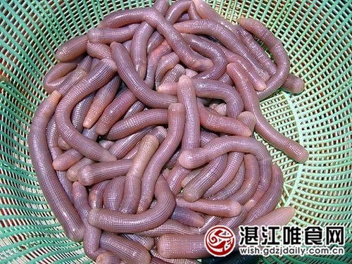 湛江人饮食竟然藏着这么多秘密，不看你就亏了！