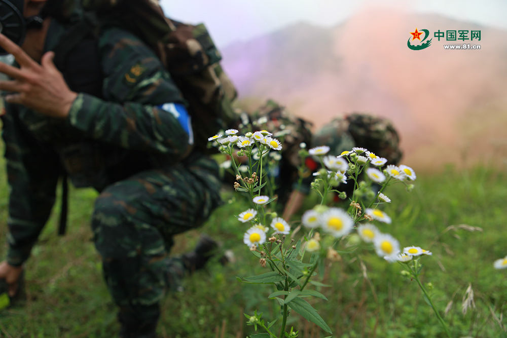 高战斗力+助攻战友看特战队员征战魔鬼周