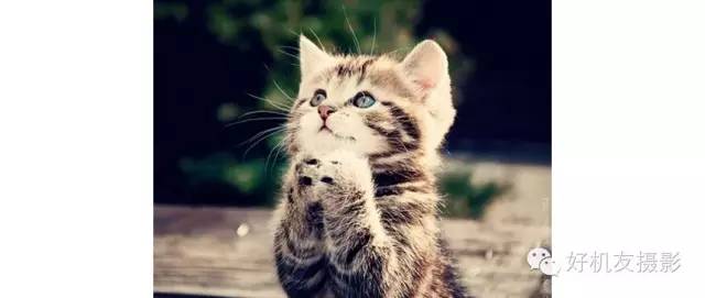 模特面部表情和动作,模特摆姿僵硬怎么拍摄