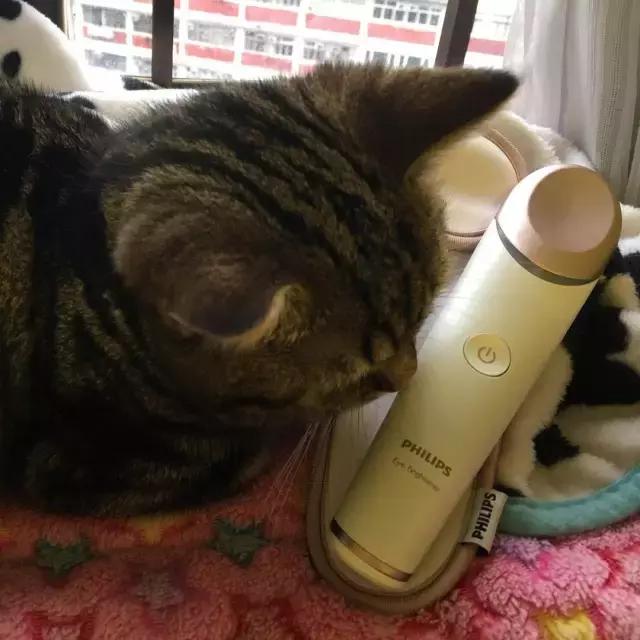 现在很多明星都在用的美容产品,抗老明星推荐美容仪有哪些