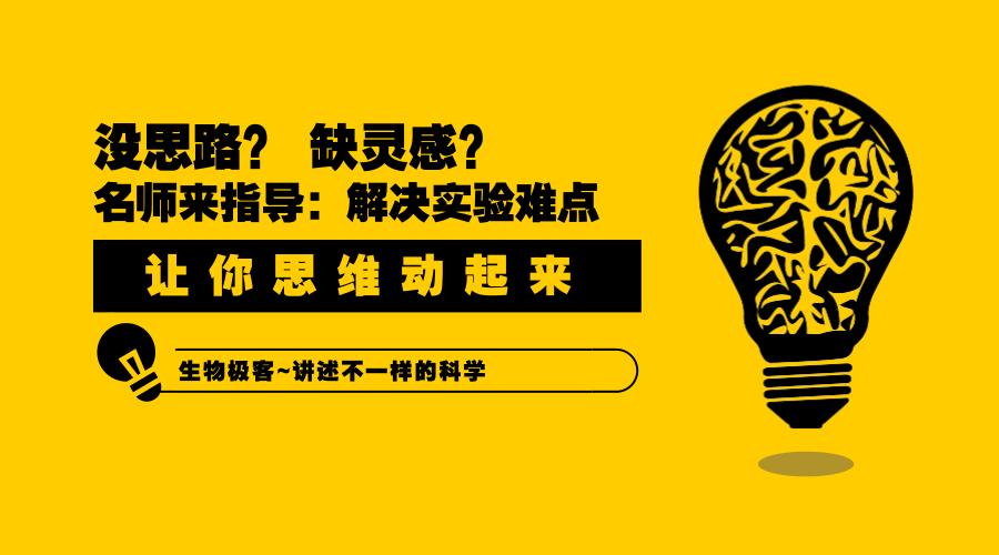 鎺㈢储缁嗚弻涓栫晫,鍙戠幇涓庢帰绱㈠井鐢熺墿鎻