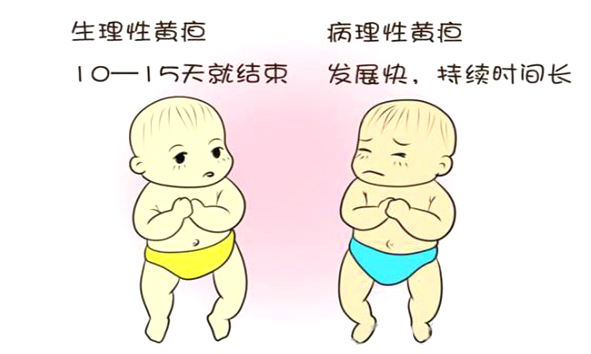 黄疸不容忽视,新生儿黄疸报销比例