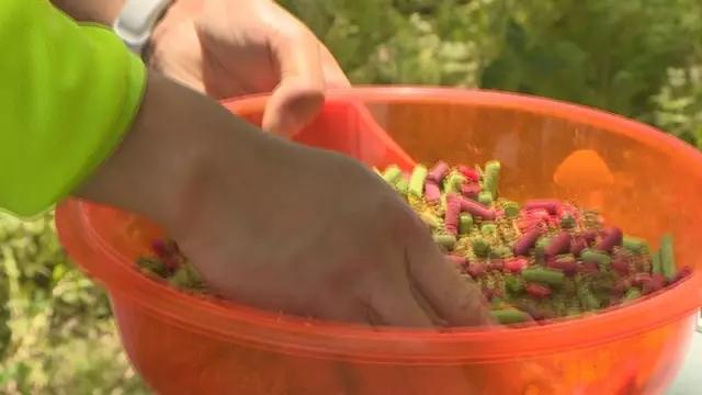 最简单的大青鱼做法,小青鱼多怎样才能钓大青鱼