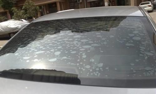 小便宜不可贪图,劣质汽车贴膜