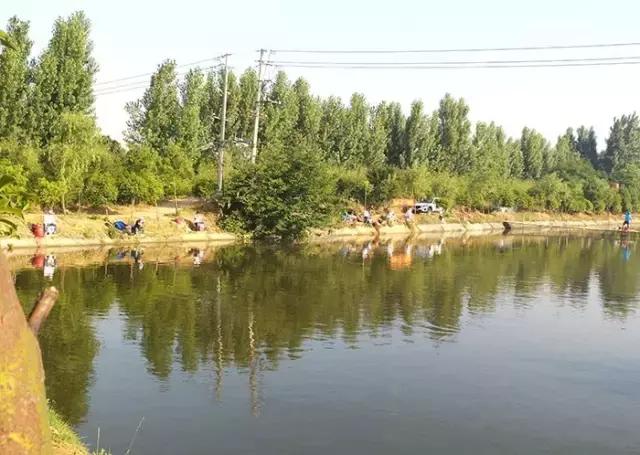 南阳古镇钓鱼比赛冠军,南阳行营钓具