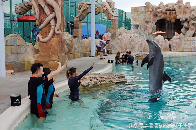 新加坡圣淘沙一日游路线图,新加坡圣淘沙游玩攻略费用