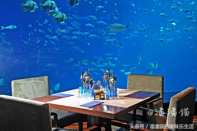 新加坡圣淘沙一日游路线图,新加坡圣淘沙游玩攻略费用