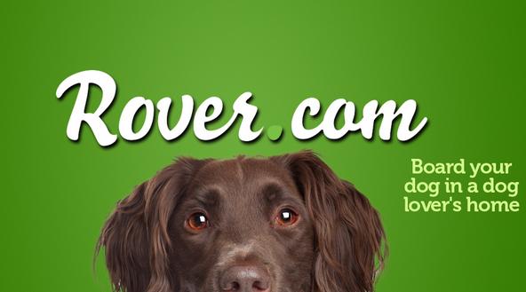 开会不能遛狗？出差在外狗狗怎么办？宠物界Uber与Airbnb帮您搞定爱宠所需！