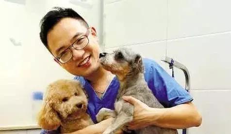 开宠物医院会血本无归吗,不做好准备不要养狗
