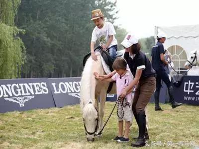 骑马的治愈作用是什么,马中风可以治疗吗