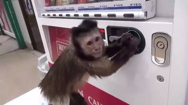 日本古老自动贩卖机,日本自动贩卖机能买到什么