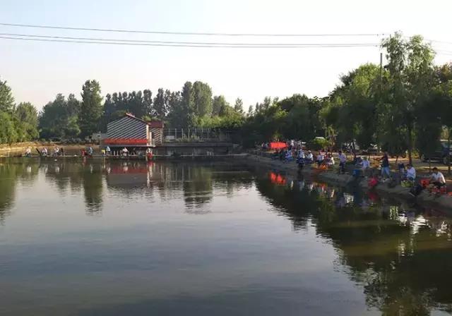 南阳古镇钓鱼比赛冠军,南阳行营钓具