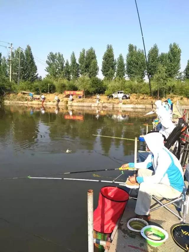 南阳古镇钓鱼比赛冠军,南阳行营钓具