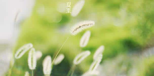 立夏贴士｜夏季贪凉小心妇科疾病黏上你！