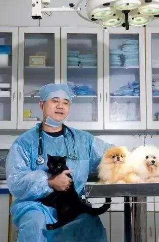 开宠物医院会血本无归吗,不做好准备不要养狗