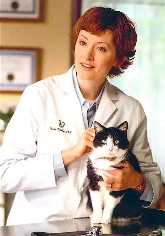 开宠物医院会血本无归吗,不做好准备不要养狗