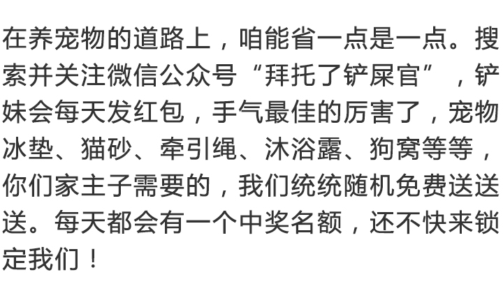 开宠物医院会血本无归吗,不做好准备不要养狗