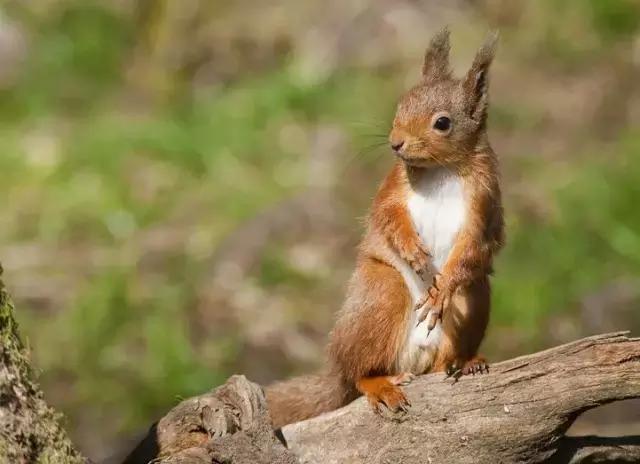 未来创业十大赚钱方法,当今最赚钱的6个创业项目