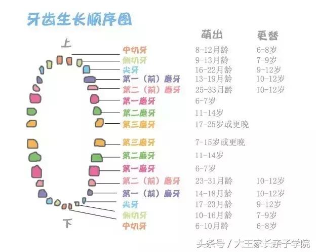 小小乳牙,宝宝乳牙怎么才能变萌