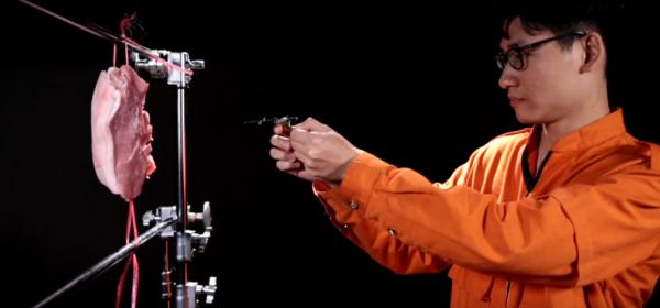 灏忓鐜╃殑鏈ㄨ川寮撳缉鏈夊鍗遍櫓,灏忓鐜╃殑寮撳缉鏈夊鍗遍櫓