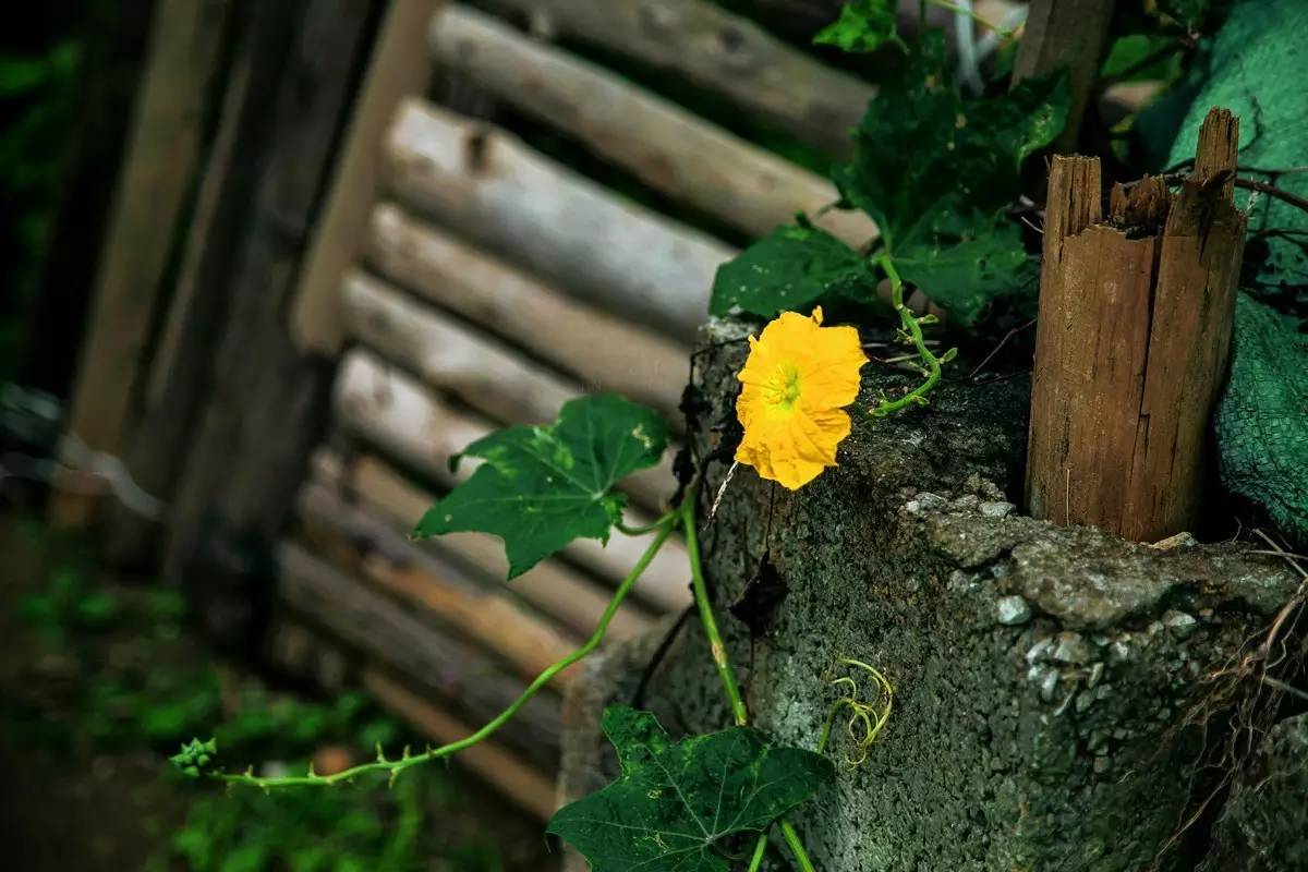 诗情画意广西,广西诗情画意