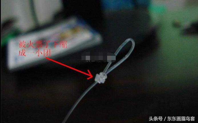 东东画眉鸟套之各种好看实用的绳套你了解吗？