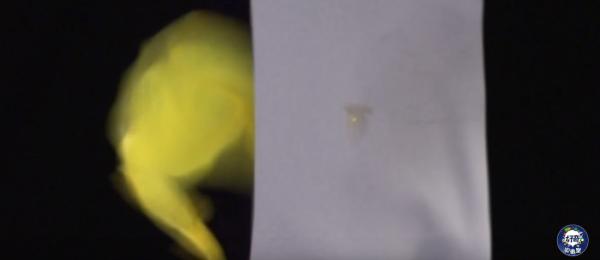 灏忓鐜╃殑鏈ㄨ川寮撳缉鏈夊鍗遍櫓,灏忓鐜╃殑寮撳缉鏈夊鍗遍櫓