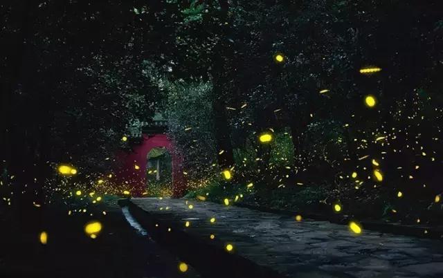 父亲有病作为儿女怎么办,爸爸去世了作为孩子该怎么活