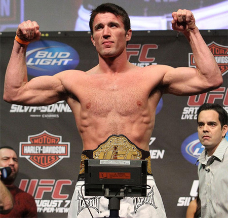 ufc最稳的打法,ufc目前最好的打法