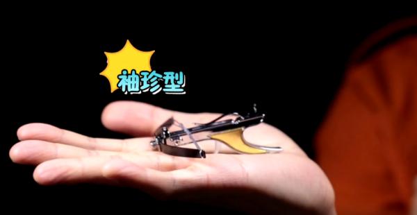 灏忓鐜╃殑鏈ㄨ川寮撳缉鏈夊鍗遍櫓,灏忓鐜╃殑寮撳缉鏈夊鍗遍櫓