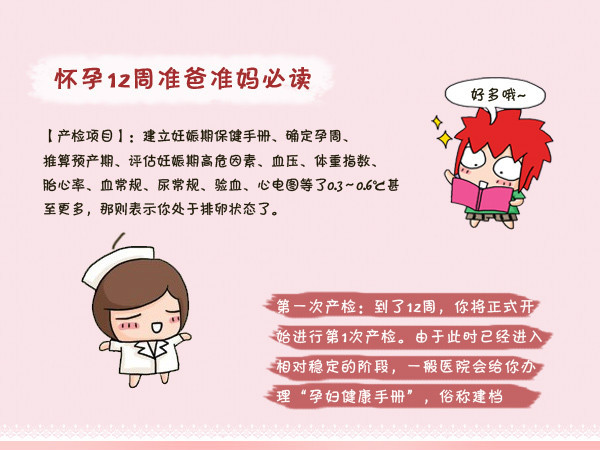 怀孕初期一到三个月要关注什么,怀孕早期三个月要关注什么