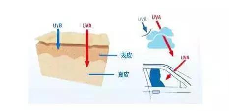 美白的第一步是什么,美白的第一步是补水吗