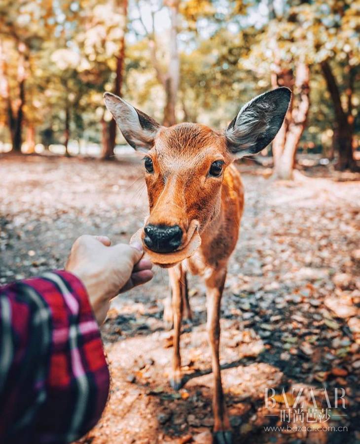 旅行照这么摆pose就很好看,出门旅游拍照姿势ins