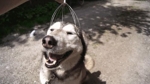 现在很多明星都在用的美容产品,抗老明星推荐美容仪有哪些