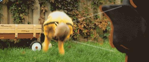 如果你有女儿要关注什么,如果你有女儿千万告诉她这四点