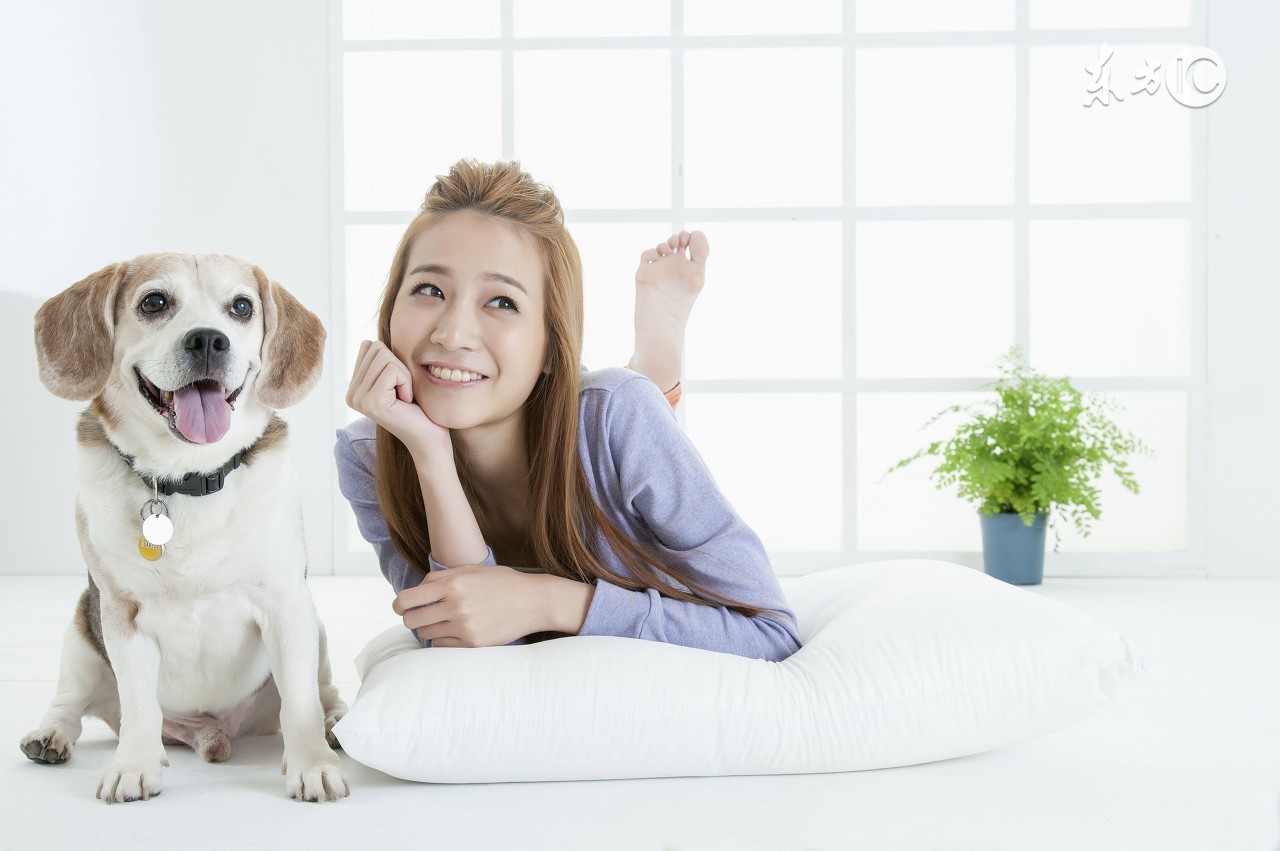 刚出生的小狗喜欢咬人为什么,刚到家的小狗咬人怎么办