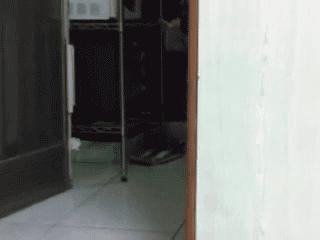 巴哥委屈吗,巴哥眼里泪汪汪的怎么回事