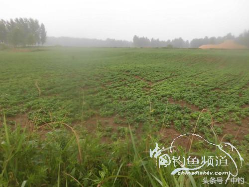 闷热缺氧鱼上浮不开口怎么钓,闷热鱼难钓为什么午时鱼难钓