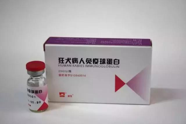 被猫狗咬伤没出血,被狗咬出血了一定要打狂犬疫苗吗