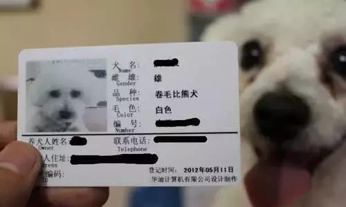 被猫狗咬伤没出血,被狗咬出血了一定要打狂犬疫苗吗