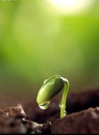 调经促孕丸中药,调经促孕十三针