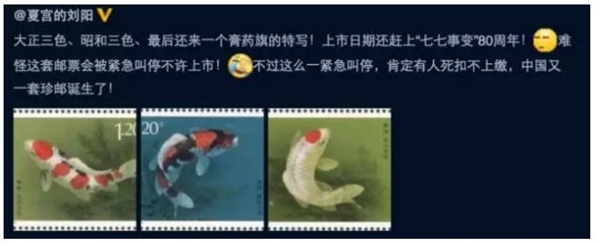 锦鲤是属于淡水鱼还是海鱼,锦鲤是中国还是日本的