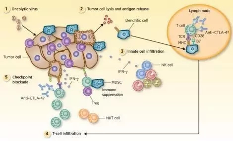 免疫治疗如何给药,免疫治疗有什么药