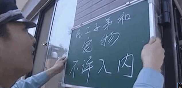 打麻将怎么记牌有什么技巧,打麻将技巧和记牌方法视频