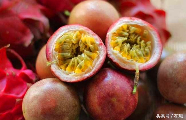 丢弃的百香果,百香果籽直接扔土里种吗