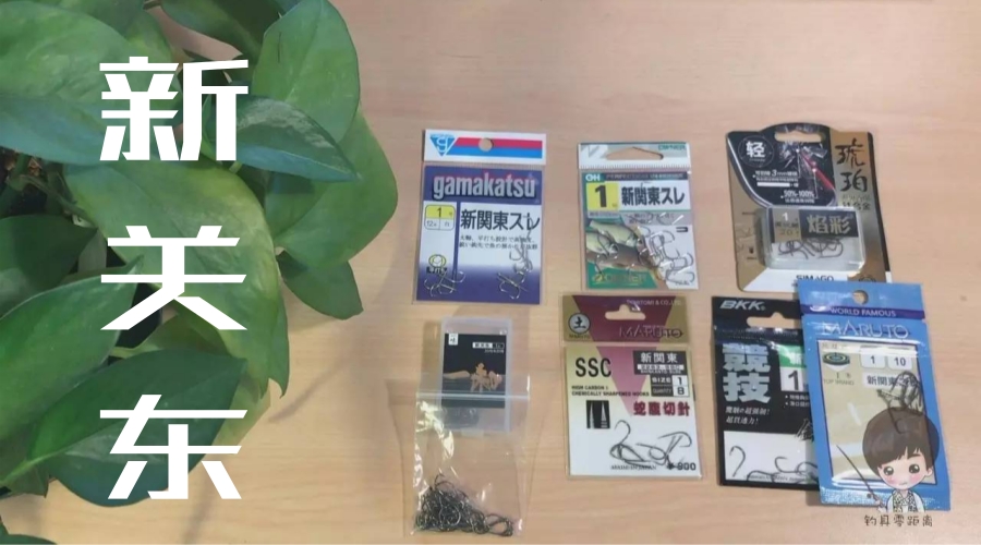 伽玛卡兹赤新关东测评,伽玛卡兹新关东测评