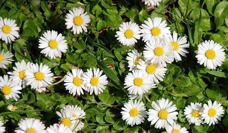 一着急脸红发烫什么原因,一热就脸红发烫头晕是怎么回事